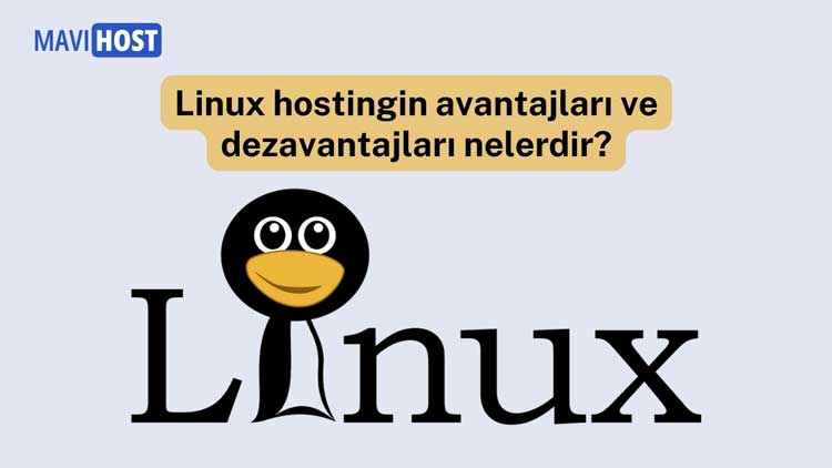 Linux hostingin avantajları ve Linux hostingin dezavantajları