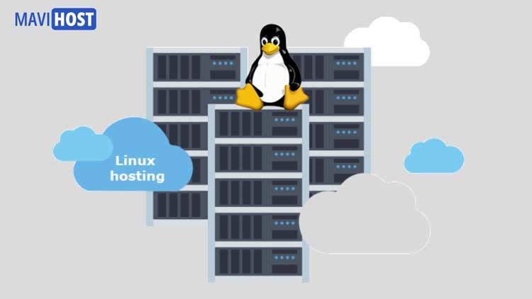 Ucuz Linux web hosting